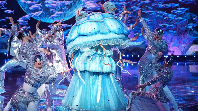 image de la news Mask Singer : qui se cachent sous le Zèbre, la Méduse et la Biche ? On récapitule les indices et les hypothèses