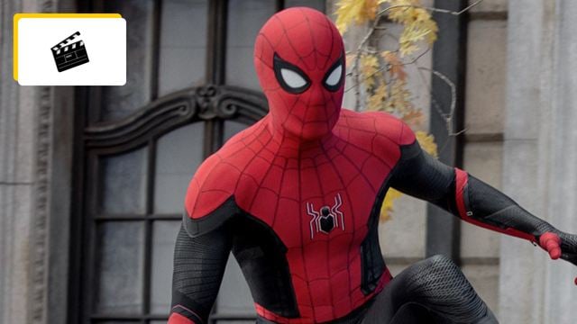 Spider-Man + Wonka : après 3 ans d'attente, ce film va enfin voir le jour !