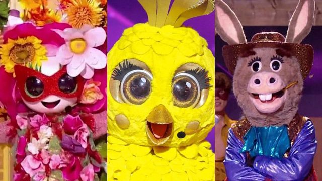 image de la news Qui du Bouquet, du Poussin ou de l'Âne va gagner Mask Singer 2026 ce soir ? Nos pronostics