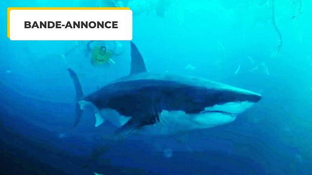 image de la news Le Dents de la Mer français ? Netflix dévoile la bande-annonce de son film le plus attendu de l'été !