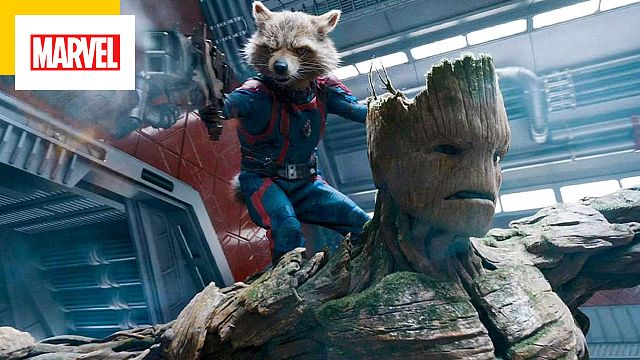 image de la news "Qui veut voir un film sur un arbre qui parle et un raton laveur ?" Cette actrice a refusé Les Gardiens de la Galaxie