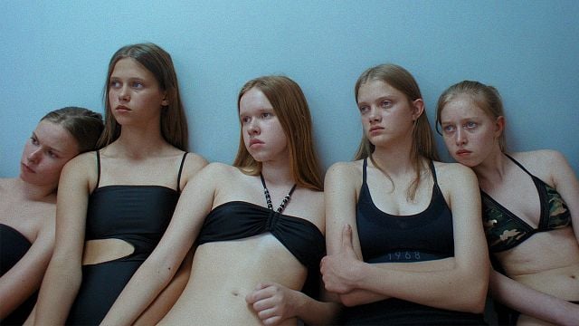 image de la news Après The Neon Demon et The Substance, découvrez Toxic au cinéma