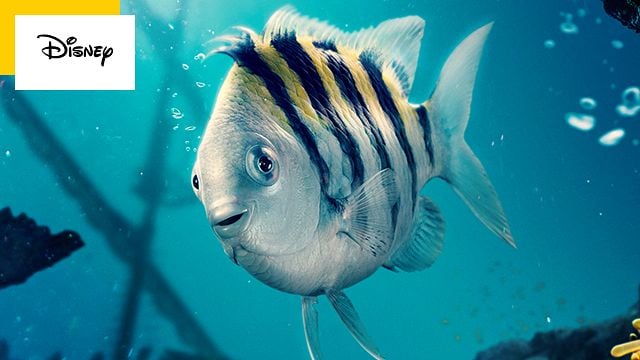 image de la news La Petite Sirène : voici les Polochon, Sébastien et Eureka du nouveau film Disney
