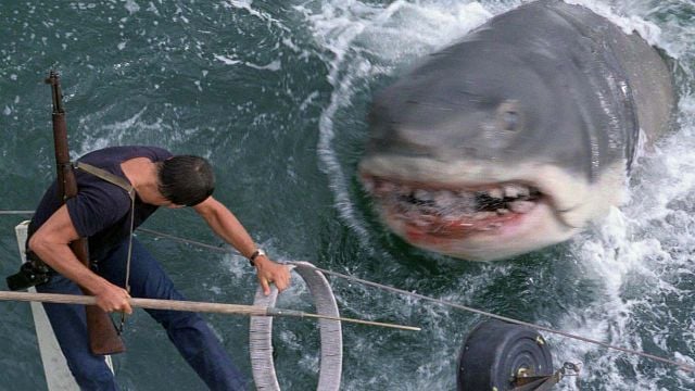 image de la news Les Dents de la mer : voici l'étrange destin d'un accessoire mythique du chef-d'œuvre de Spielberg !