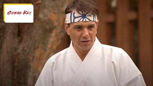 image de la news Cobra Kai : une suite de la série Netflix est-elle prévue ?