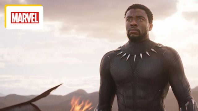 "Il a fait ça alors qu’il traversait ce qu’il traversait" : l'hommage de la star de Get Out à Chadwick Boseman, son roi de Black Panther