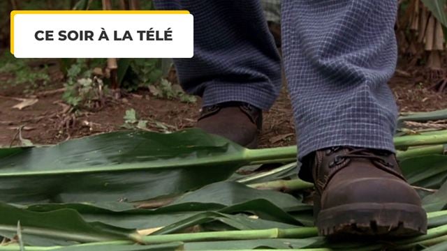 Ce soir à la télé : vous avez aimé Sixième Sens et Incassable ? Ne bougez pas, on a ce qu'il vous faut