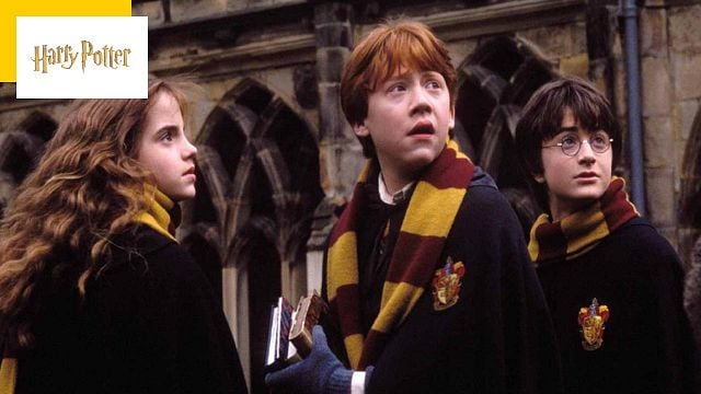 image de la news Harry Potter : que deviennent les interprètes de Harry, Ron et Hermione ?