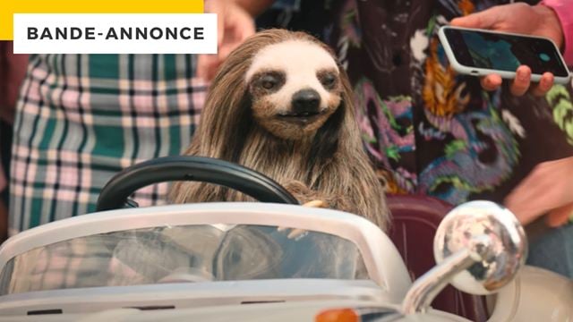 Après le paresseux rigolo de Zootopie, le paresseux tueur de Slotherhouse ! La bande-annonce de cette comédie horrifique improbable