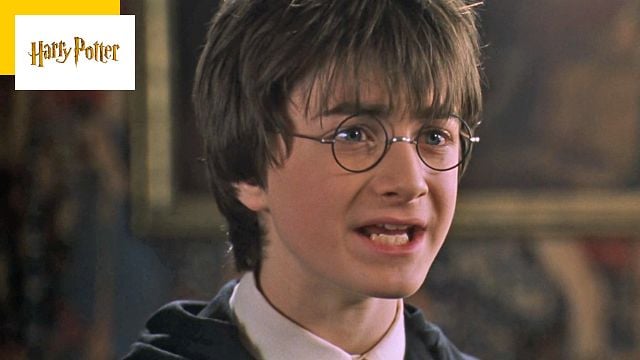 image de la news Harry Potter : Daniel Radcliffe n'est pas le seul interprète du sorcier