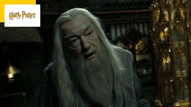 image de la news Harry Potter : vous ne devinerez jamais à quoi fait référence le nom de Dumbledore