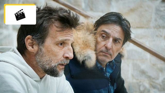 Frères : histoire vraie ou inventée ? Le film avec Yvan Attal et Mathieu Kassovitz suscite la polémique