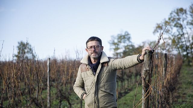 image de la news L’amour est dans le pré 2024 (portrait) : qui est Christophe, ce vigneron au coming out tardif ?