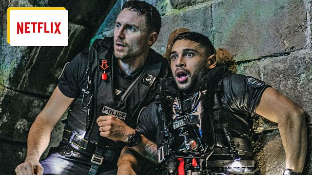 image de la news Un requin peut-il vraiment survivre dans la Seine ? Deux biologistes marins reviennent sur la crédibilité du film Netflix