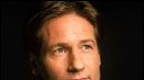 image de la news "X-Files", la suite du film en bonne voie...
