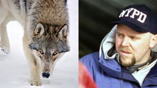Joe Carnahan réalisera un thriller avec des loups...