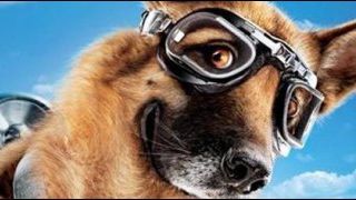 image de la news Et si vous doubliez un animal de "Comme chiens et chats 2" ?