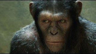 image de la news Box-office US : les singes doublent la mise !