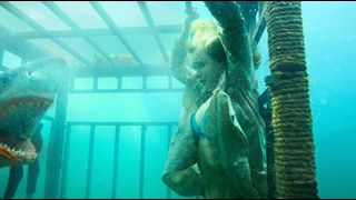 image de la news "Shark 3D" : technologie de pointe pour les requins
