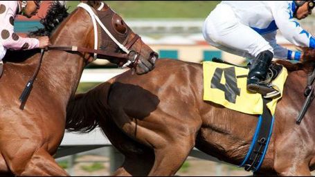 image de la news HBO annule "Luck" suite à la mort d'un cheval