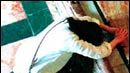 image de la news "Mary" : rencontre avec Abel Ferrara