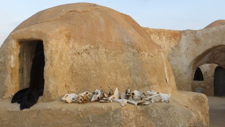 image de la news Star Wars : Tatooine en danger !