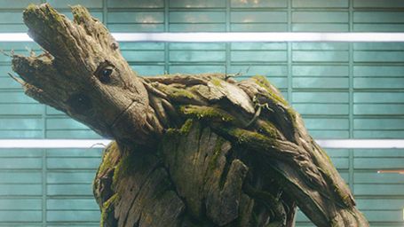 image de la news Les Gardiens de la Galaxie: Vin Diesel présent aussi dans la version française