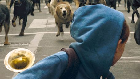 image de la news Bande-annonce White God : quand les chiens errants se révoltent contre les hommes