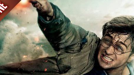 image de la news FanZone 292 : Dans les coulisses de Harry Potter...