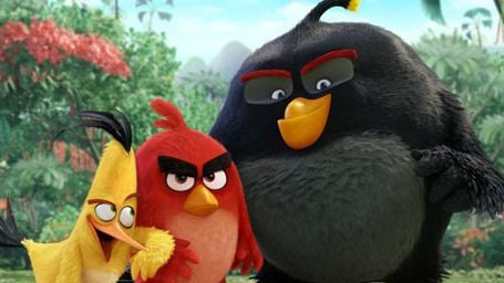 Angry Bird, Chronic, Les Cowboys... Les bandes-annonces ciné à ne pas rater !