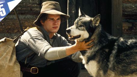 Le Top 5 des loups au cinéma