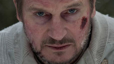Le Territoire des Loups sur C8 : 5 choses à savoir sur le film avec Liam Neeson !