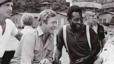 image de la news Sport & Cinéma : Stallone, Matt Damon, Paul Newman et les autres au coeur d'un ouvrage unique !