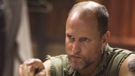 image de la news Star Wars : Woody Harrelson en mentor d'Han Solo dans le spin-off ?