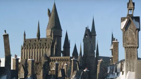 image de la news Harry Potter : la magie de Noël s'invite au parc Universal