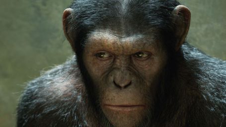 image de la news La Planète des Singes - Suprématie est-il le dernier épisode de la saga ?