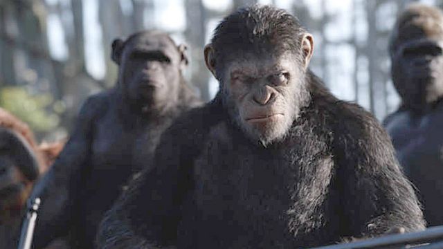 image de la news Ce soir à la télé : on mate "La Planète des Singes - Suprématie" et "Mes meilleures amies"