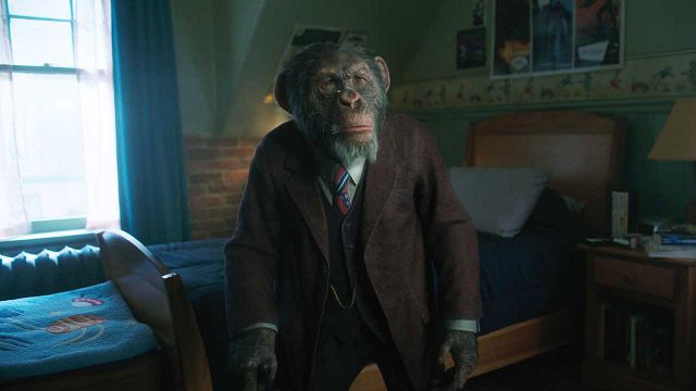 image de la news Umbrella Academy : comment le chimpanzé Pogo a-t-il été créé ?