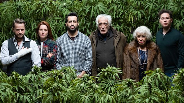 Family Business sur Netflix : Jonathan Cohen et Gérard Darmon se lancent dans le trafic de cannabis