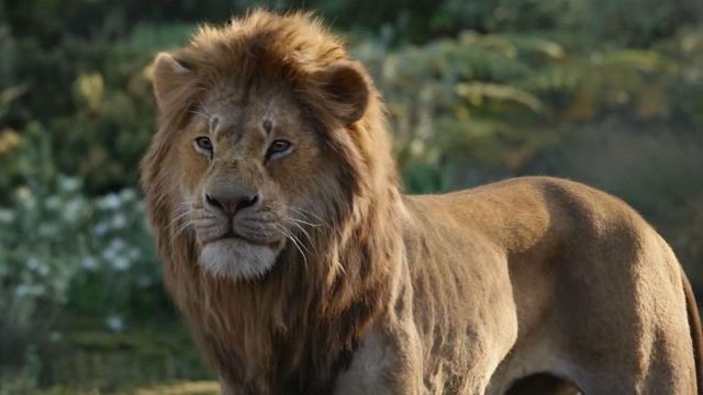 image de la news Le Roi Lion 2019 : une "énorme déception" pour Elton John