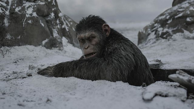 image de la news La Planète des Singes : un nouveau film par le réalisateur du Labyrinthe