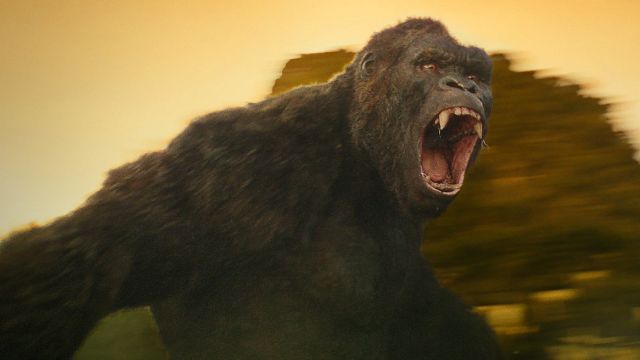 image de la news Kong Skull Island sur TMC : avez-vous vu la scène post-générique ?