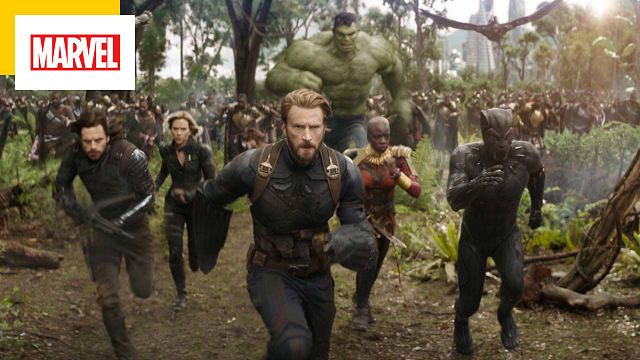 image de la news Marvel : un fan a remonté le MCU en un seul film de 50 heures !