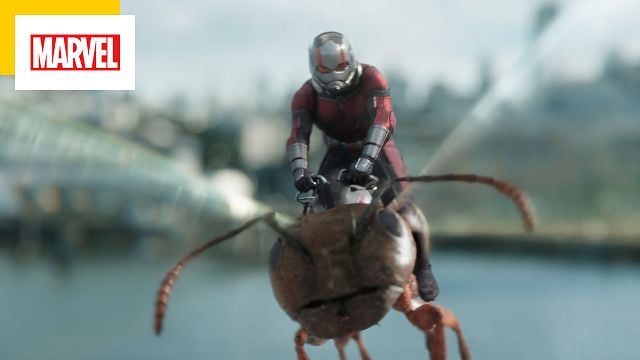image de la news Ant-Man 3 : quand sortira le film ?