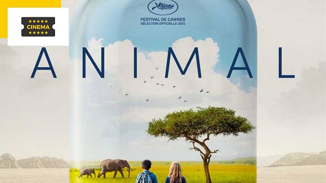image de la news Animal de Cyril Dion : une avant-première interactive et simultanée dans toute la France