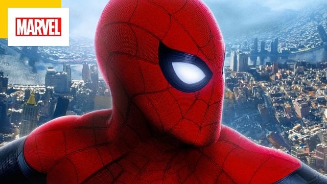 Ils ont vu Spider-Man incognito en salles : Andrew Garfield et Tobey Maguire ont vécu No Way Home avec les fans