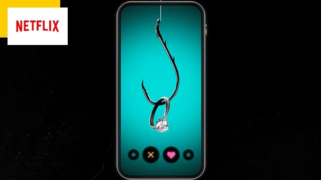 image de la news L'Arnaqueur de Tinder sur Netflix : déjà plus de 100 000 euros récoltés pour les victimes de l'escroc du cœur
