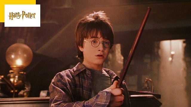 Harry Potter : pourquoi le jeune sorcier porte-t-il ce nom ?