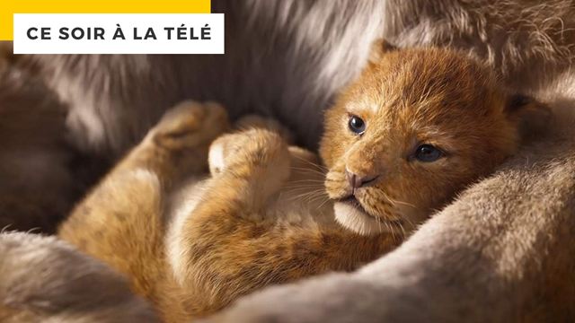 Le Roi Lion sur M6 : quel est le prochain film Disney live au cinéma ?