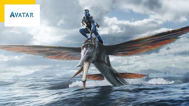 image de la news Avatar 2 : raz-de-marée de consultations pour la bande-annonce de La Voie de l'eau